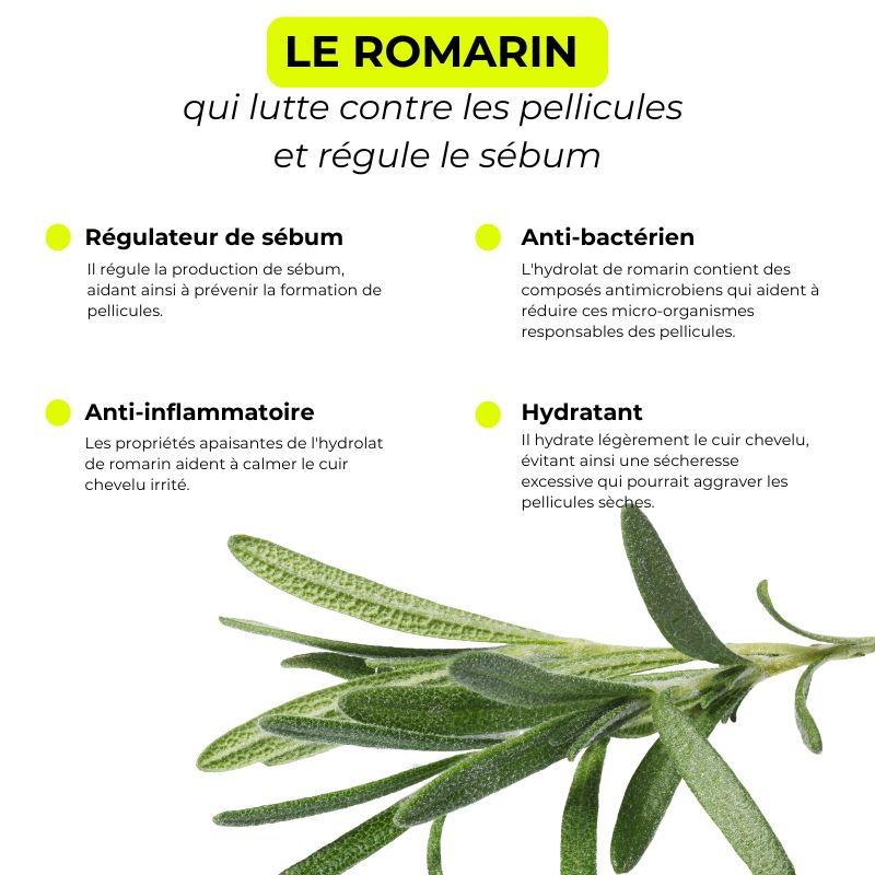 Shampoing crème - Nettoie &amp; anti-pelliculaire