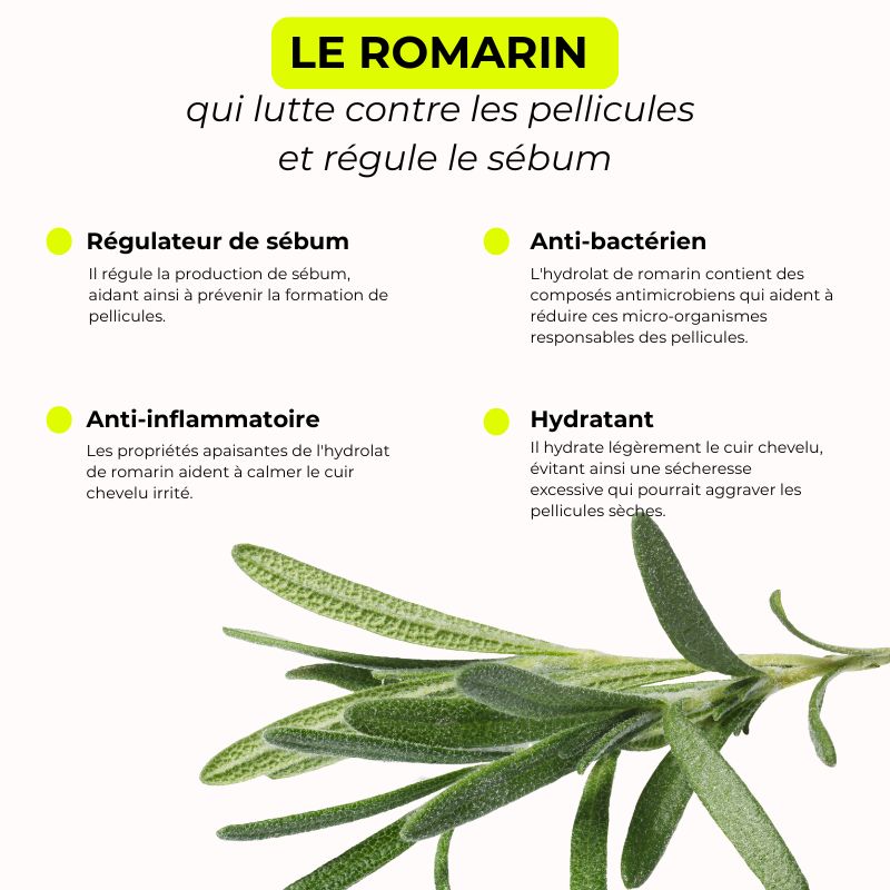 Shampoing crème - Nettoie & anti-pelliculaire